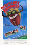 Necessary Roughness Image-large
