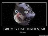 Grump-cat-star-wars1