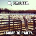 Funniest_memes_hi-i-m-deer-i-came-to-party_5518