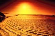 Desert_sun-1209