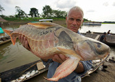 River-monsters-ep504-02-625x446