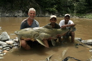 River-monsters-river-monsters-6860217-475-316